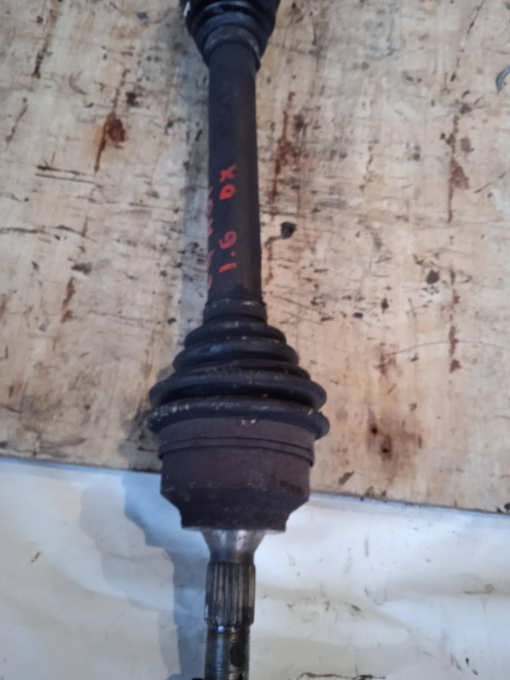 Semialbero ant. compl. dx.